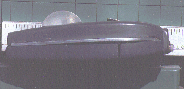 Ph1BGrilSide.GIF (121106 bytes)