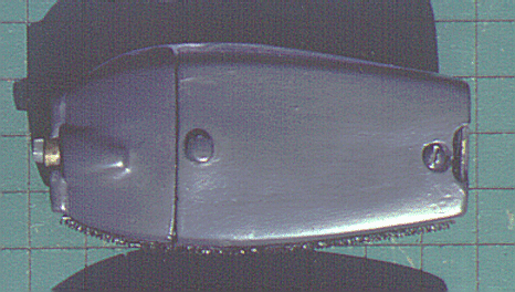 Ph1BottomCut.GIF (130154 bytes)