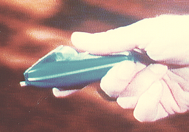 Ph1HandWplateUp.GIF (88274 bytes)