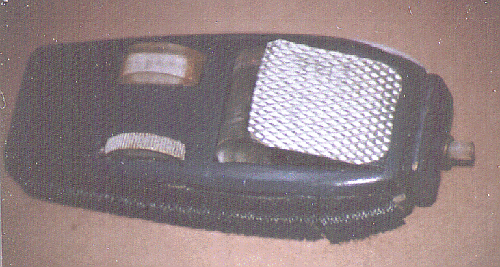 Ph2grillVeco.GIF (238353 bytes)